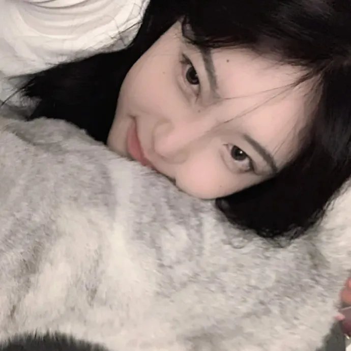 雪莉2024